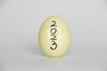 2023 written on a cracked painted yellow chicken egg on a white background, 2023 and culture Royalty Free Stock Photo