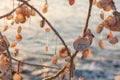 Written names of visitors on sea shells Sunset in Arenals, Coast in Formentera in Balearic Islands in Spain Royalty Free Stock Photo