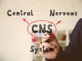 Written phrase CNS Central Nervous System . Male hand with marker write on an background Royalty Free Stock Photo