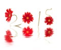 2015, written with red gerberas flower stems