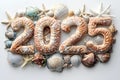 2025 written in seashells and starfish on a white background. Royalty Free Stock Photo