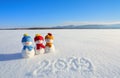 2019 written on the snow. Smiling snowman with hats and scarfs are standing on the field with snow. Landscape with mountains.