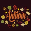 Written the word autumn with yellow leaves