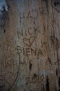 Writting on the tree trunk Nick loves Siena. People in love