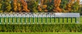 Wroclaw, horse racing track, starting gates for horses, autumn landscape with colorful trees on a sunny day