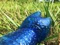 Wroclaw, Poland - August 29 2019: Plastic waste, a plastic bottle lies on the grass. Pollution of nature and environment by