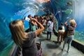 Wroclaw, Poland - underwater tunnel in Wroclaw ZOO`s Africarium.