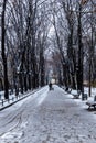 Beautiful long path with benches next to it under high old trees full of snow with walking