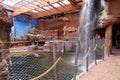 Interior of the modern Africarium with artificial waterfall in Wroclaw Zoo