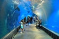 People visit the modern aquarium with underwater tunnel in Wroclaw Africarium