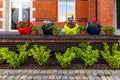 Four large colorful planters and four smaller ones full of flowers standing in front of a modern red Royalty Free Stock Photo