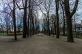 Beautiful long and wide walking path with high old trees on both sides in Juliusz Slowacki park