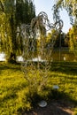 Statue `Adam and Eve on a walk` in Tolpa park