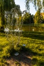 Statue `Adam and Eve on a walk` in Tolpa park