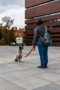 Dog parade at city center with hundreds of barking and smiling dogs