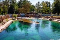 Wroclaw, Poland - September 7, 2020: Swimming pool for seals and penguins in the Africarium of Wroclaw zoo, Poland