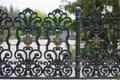 Wrought fence. Image of a decorative cast iron fence. metal fence close up. beautiful fence with artistic forging