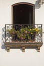 Wrought iron balcony with flowers