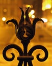 Wrought iron fence