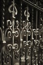 Wrought Iron Fence Detail