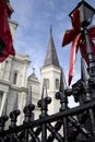 Wrought iron fence and Saint Louis Cathedral Royalty Free Stock Photo