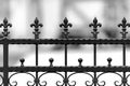 Metal wrought iron fence