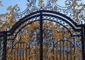 Wrought iron gate, entrance to the Catherine Palace