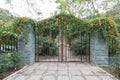 Wrought iron gate and flowers, iron fence