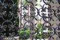 Wrought iron gate Royalty Free Stock Photo