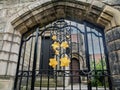 Wrought iron gates with grape vine in entrance to church yard Royalty Free Stock Photo