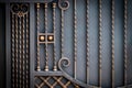 wrought-iron gates, ornamental forging, forged elements close-up