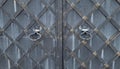 Wrought iron gates with round forged handles