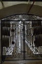 Through the wrought-iron metal gate you can see the wine cellar with old oak barrels lying in a row Royalty Free Stock Photo