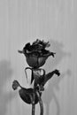 Wrought iron rose black-white