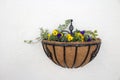 Wall basket plated with purple and yellow pansies and ivy, on a white textured wall Royalty Free Stock Photo