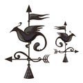 Wrought iron weather vane in form of bird Royalty Free Stock Photo