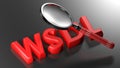 WSDL with magnifier on black background - 3D rendering illustration Royalty Free Stock Photo