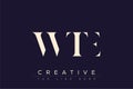 WTE abstract letter logo design Royalty Free Stock Photo