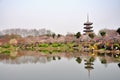 Wuhan,Cherry blossom garden