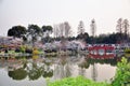 Wuhan,Cherry blossom garden Royalty Free Stock Photo