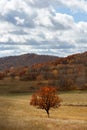 Wulanbutong autumn, Inner Mongolia, China Royalty Free Stock Photo