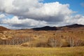 Birch forest and meadow, Inner Mongolia, China Royalty Free Stock Photo