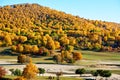 The fall forest on the prairie Royalty Free Stock Photo