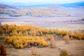 Overlook autumn forest