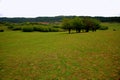 Wulong fairy mountain grassland