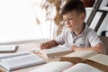 wunderkind child sitting at the table in the library reads open books or textbooks in front of. student does his Royalty Free Stock Photo