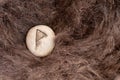 Wunjo Nordic stone rune on animal fur. Letter Wyn of the Viking alphabet