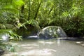 Wurrmbu Creek Mossman Gorge Queensland Australia