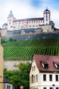 Wurzburg city and vineyards