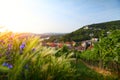 Wurzburg Royalty Free Stock Photo